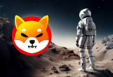 wp header logo 1217 379x259 c
