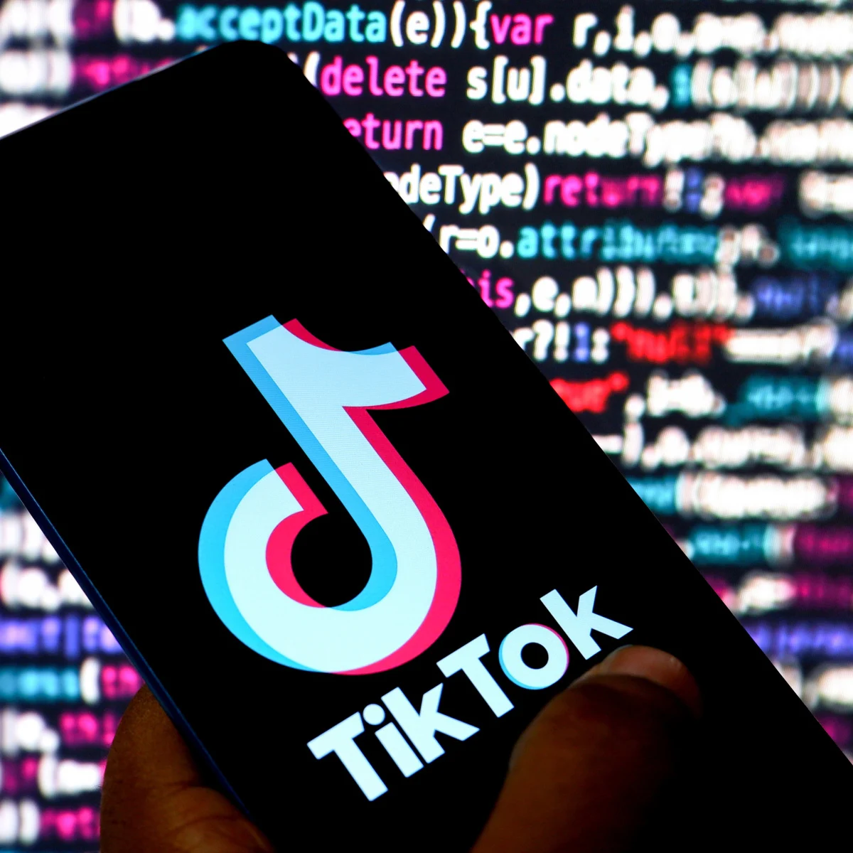 TikTok luanches online election centres