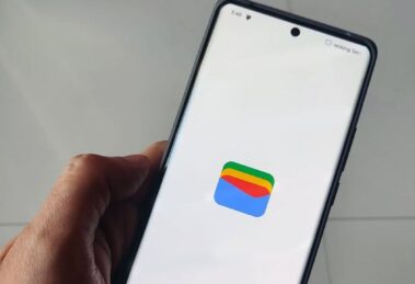 Where Google Wallet State IDs Are Available on Android