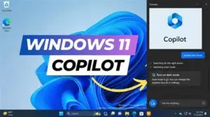 OIP 1